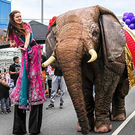 Walkabout Elephant Australia