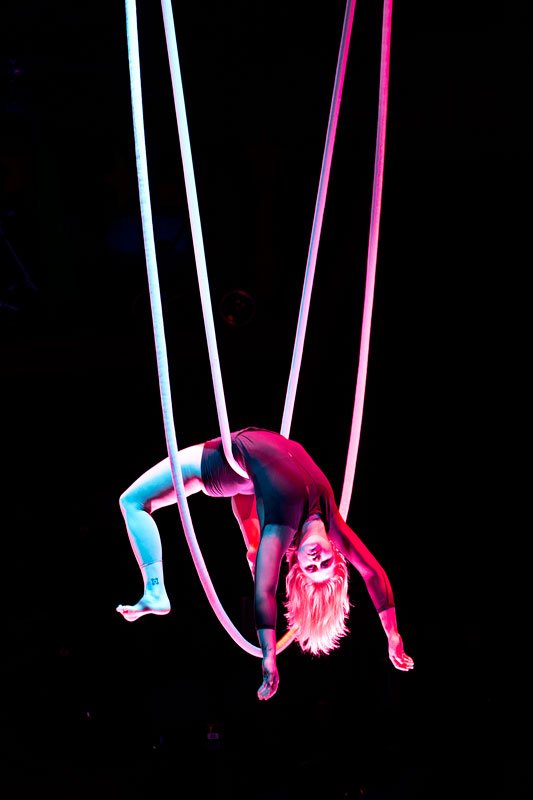 Corde Lisse Aerialist For Events - Hire Aerial Rope Artist