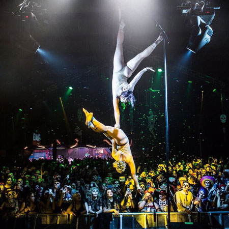Spanish Web Aerialists