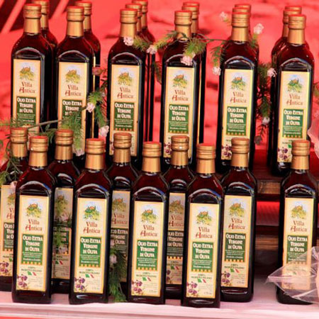 Olive Oil Tasting Tour Rome