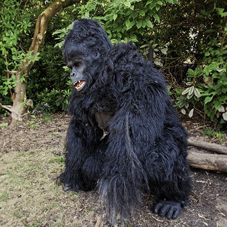 Walkabout Gorilla & Keeper