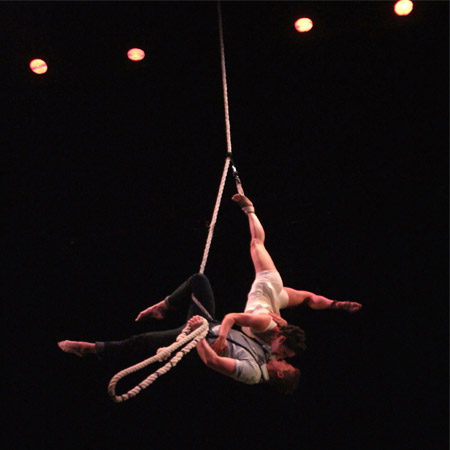 Aerial Rope Duo Brisbane