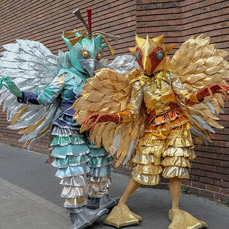 Roaming Fantasy Bird Duo