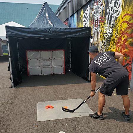 Electronic Hockey Net