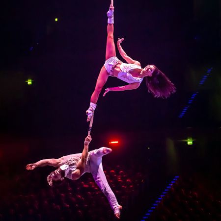 Aerial Straps Duo Germany