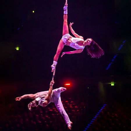 Aerial Straps Duo Deutschland