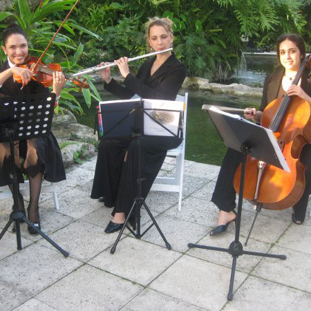 Elegant Ensemble Miami
