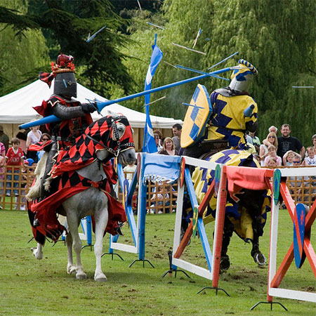 medieval jousting horse