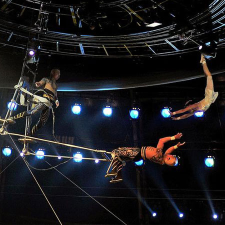 Flying Trapeze