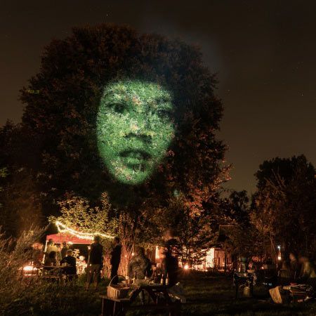 Interactive Tree Video Mapping