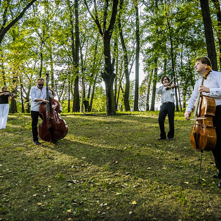 Quartetto d'archi energetico