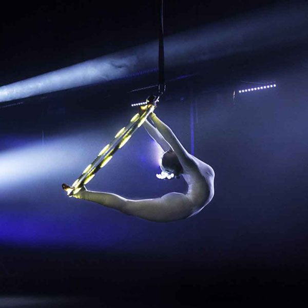 Aerial Ring Performers 