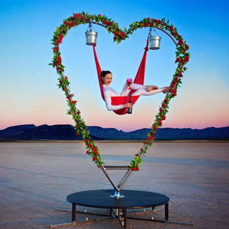 Aerial Heart Act USA