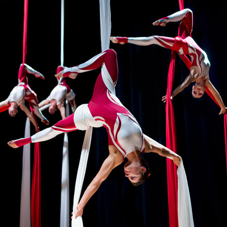 Aerial Silks - Hire Aerial Silk Act