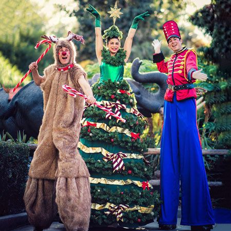 Personajes de zancos de Navidad en Estados Unidos