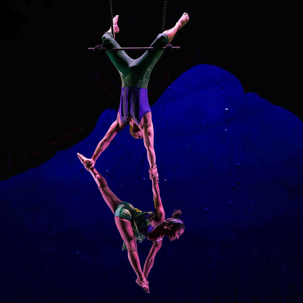 Duo Trapeze Aerialists Florida