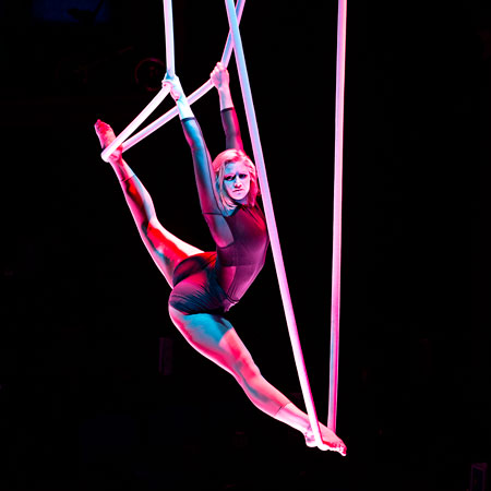 Aerial Rope Artist