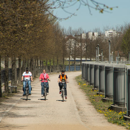 Tour del Oasis de Berlín