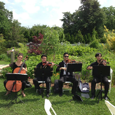 String Quartet New York