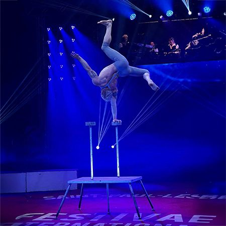 Cirque Hand Balancing Canes