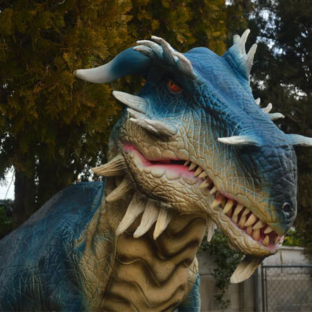 Roaming Dragon USA