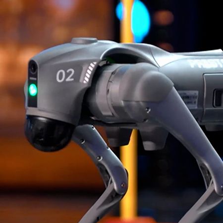 Robotic Dog UK