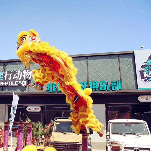 Troupe de danseurs de lion de Beijing