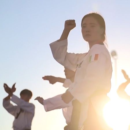 Mostrar de Exhibición de Taekwondo