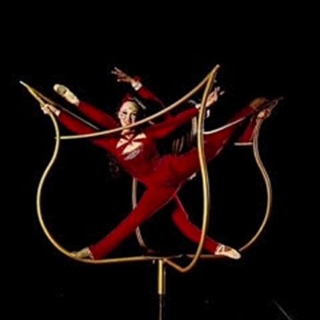 Freestanding Tulip Aerial Duo