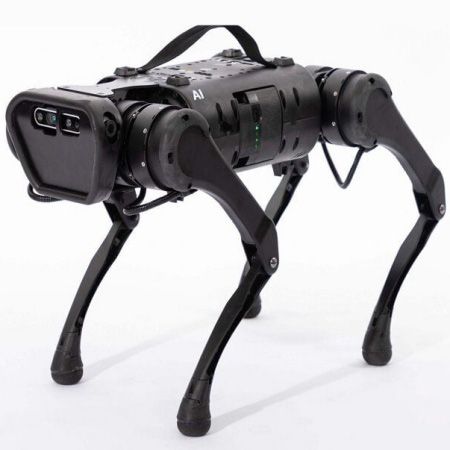 Rex the Robot Dog