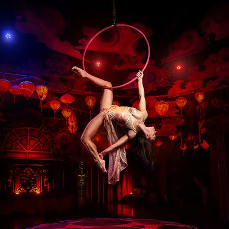 Aerial Hoop Performer Las Vegas