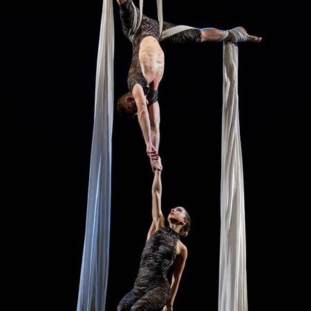 Italian Silk Aerialists