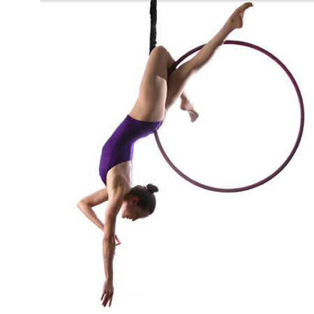 Hire Aerial Hoop Performer | Aerial Hoop Show | Aerial Dance Las Vegas