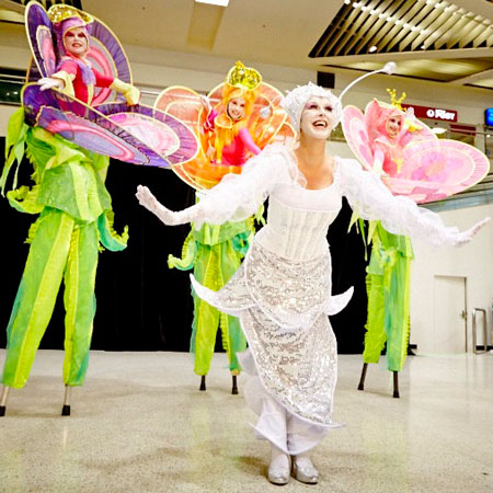 Lady Butterfly Show