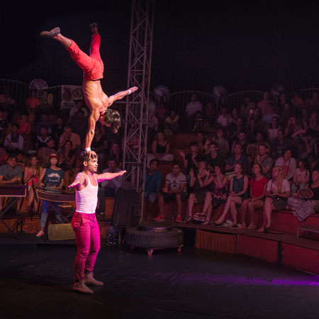 Phare Circus Flower Act