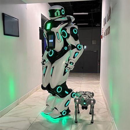 Walkabout Robot UK