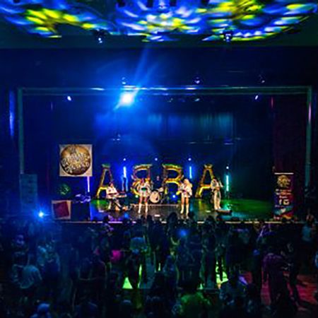 Disco Tribute Band
