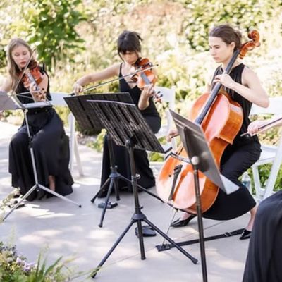 Elegant String Performers