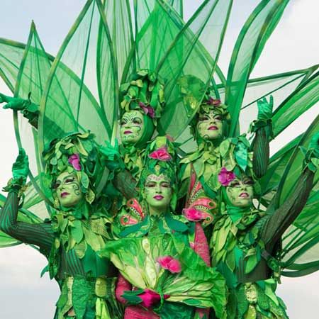 Stilt Walking Trees