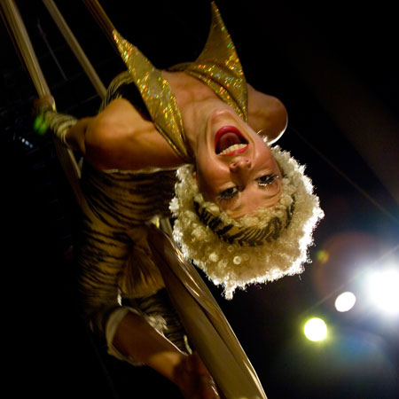 Acrobates de Soie Dorée