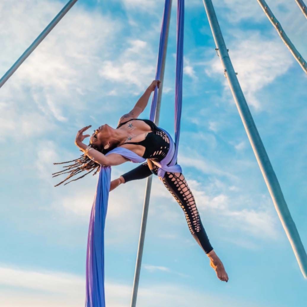 Book A Aerial Silks Artists California Scarlett Entertainment