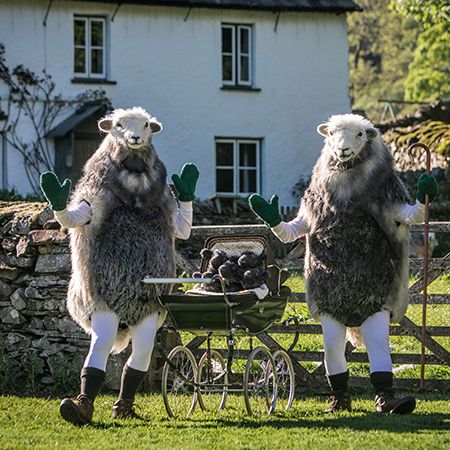 Walkabout Comedy Sheep