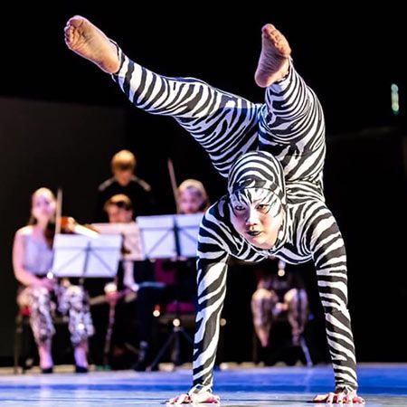 Spectacles acrobatiques de nature et d'animaux