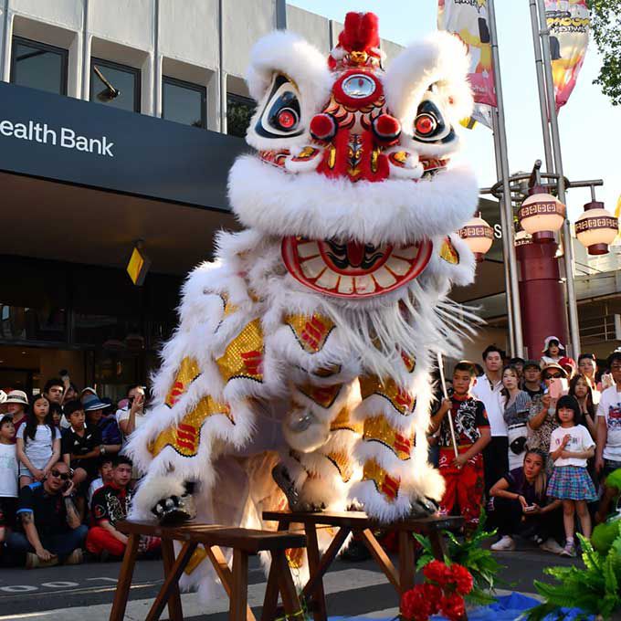 Hire Our Dragon & Lion Dancing 