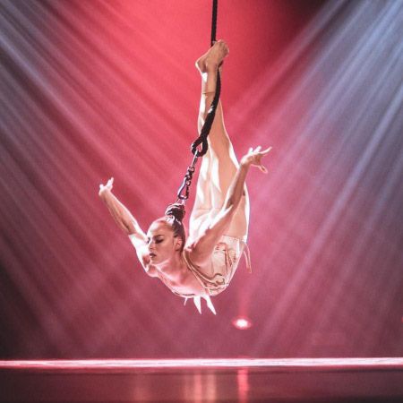 Hair Suspension Act