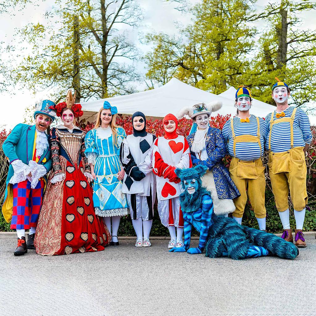 Pacchetto Alice in Wonderland