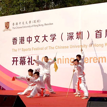 Spectacle de danse Kung Fu