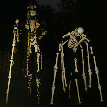 Walk Around Skeletons